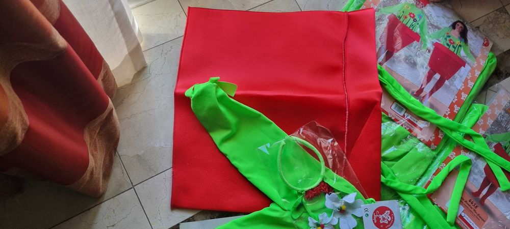 Fatos de carnaval - Flores em vasos