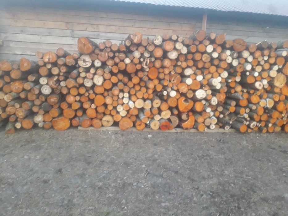 Дрова паливні продам