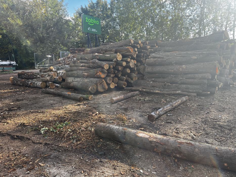 drewno kominkowe i opałowe
