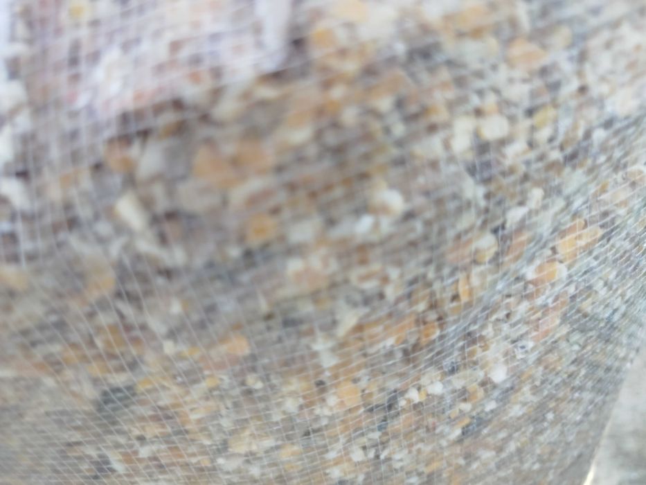 Ração para galinhas e galos