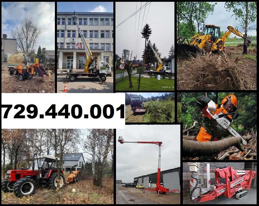 Wycinka drzew zwyzka usuwanie gałezi korzeni Skawina i okolice