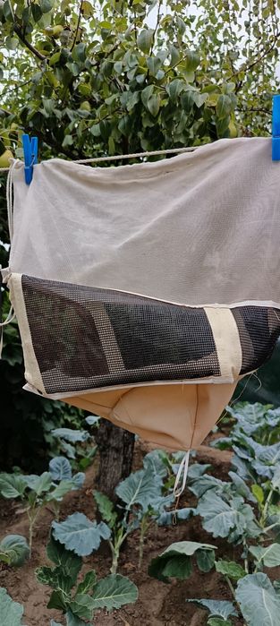 Material de Apicultura