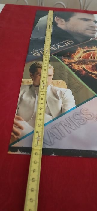 Poster Sinsajo - Katniss e Gale, novo