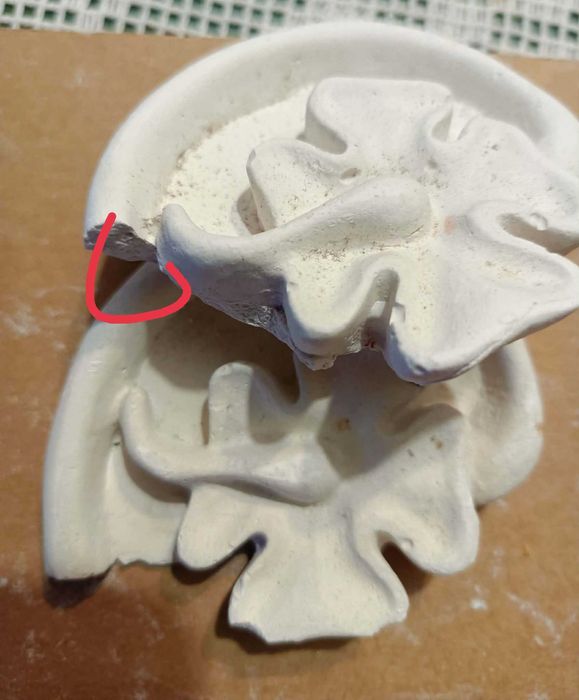 Outlet Dekor gipsowy zestaw 4 szt Koniczyna