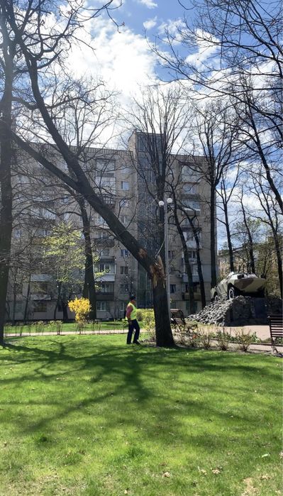 Видалення дерев,Спил дерев,Зрізання дерев,Кронування дерев,Арборист