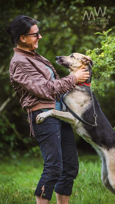 Świetna, kontaktowa suczka do adopcji