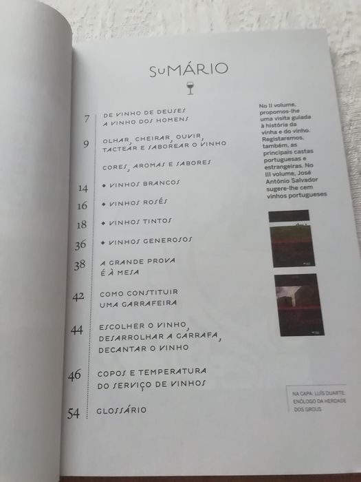 A arte de beber de José António Salvador