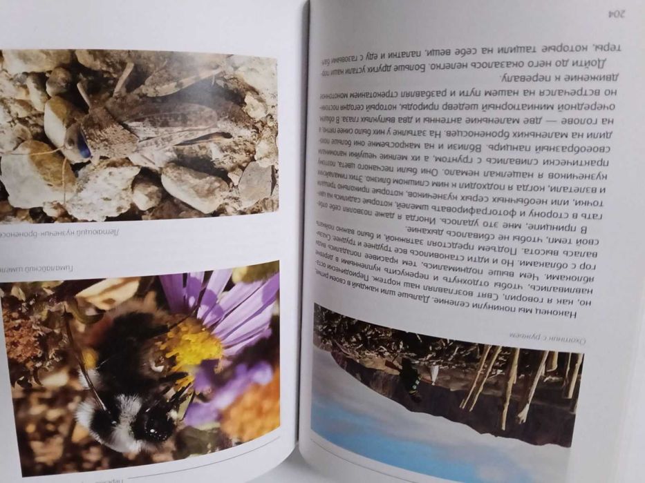 Александр Белый Невероятно путешествие в Шамбалу с автографом