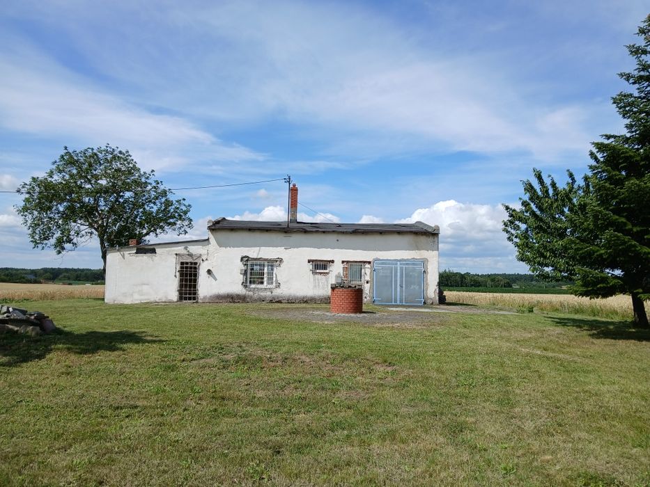 Dom 107m , działka 2665m