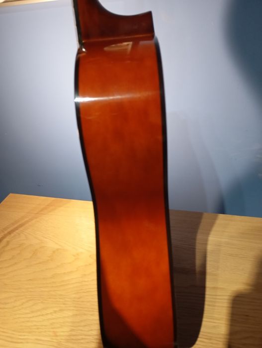 Guitarra Stagg C542