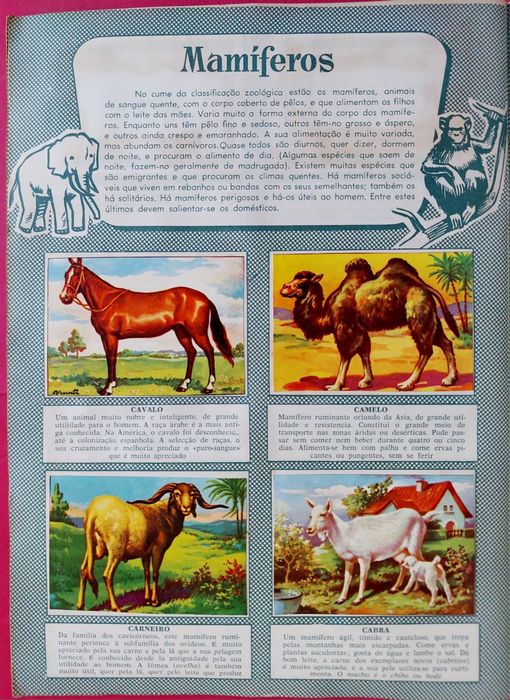 Caderneta 1958 História Natural