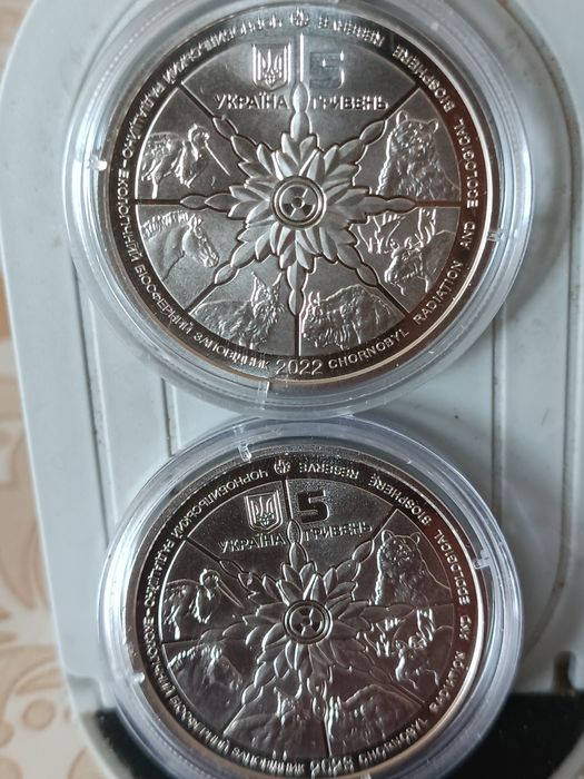 2000 грн.ведмідь рись