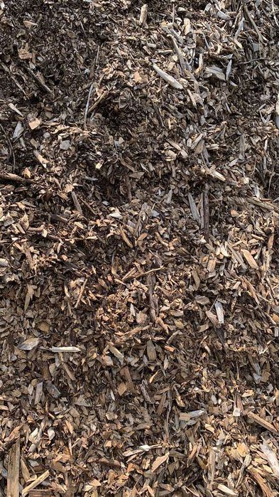 Zrębka mieszana: jabłoń, dąb, głóg, olcha cena za m3