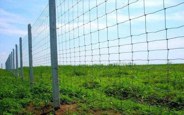 Сітка шарнірна 200/25/15