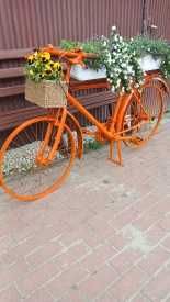 Piękny Kwietnik - rower w kolorze pomarańczowym