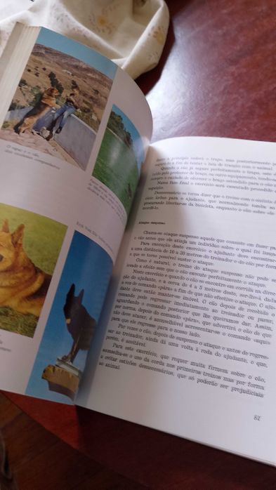 O Cão Militar - Coronel Costa Campos