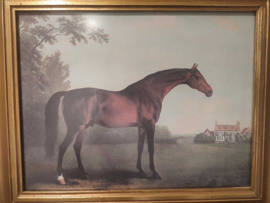 Quadro de cavalos - conjunto de dois quadros moldura dourada