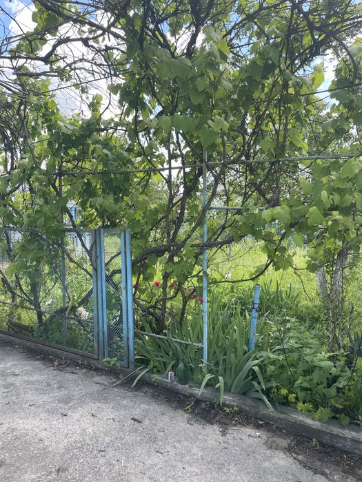 Продам Дачу общество «Калина»