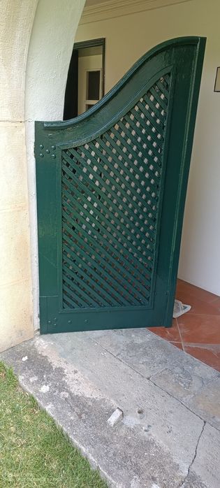 Pintor profissional