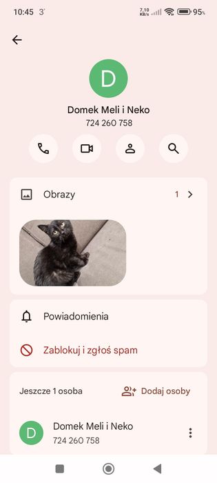 Zaginęły dwa kotki (brat i siostra)