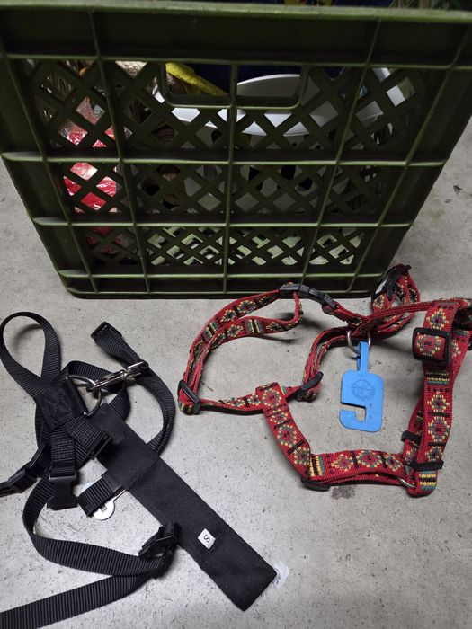 Trelas coleiras arnês vários novo