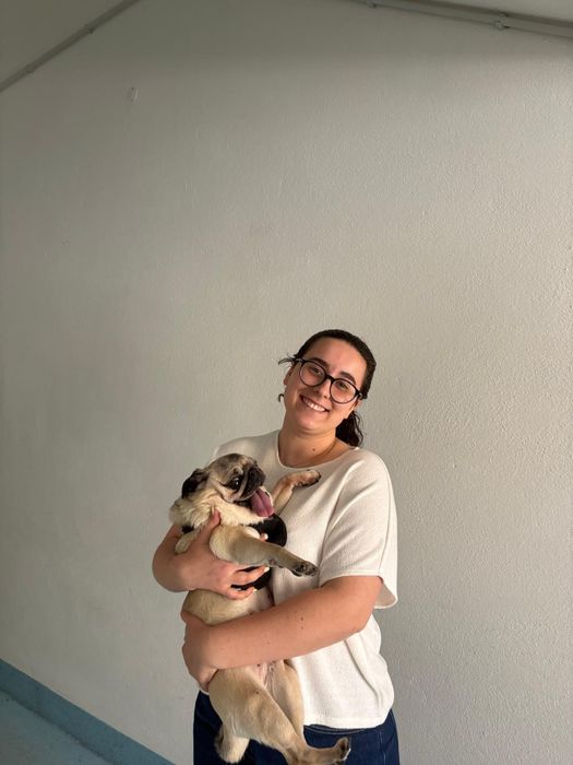 Petsitting e Dog walker497065456452259841