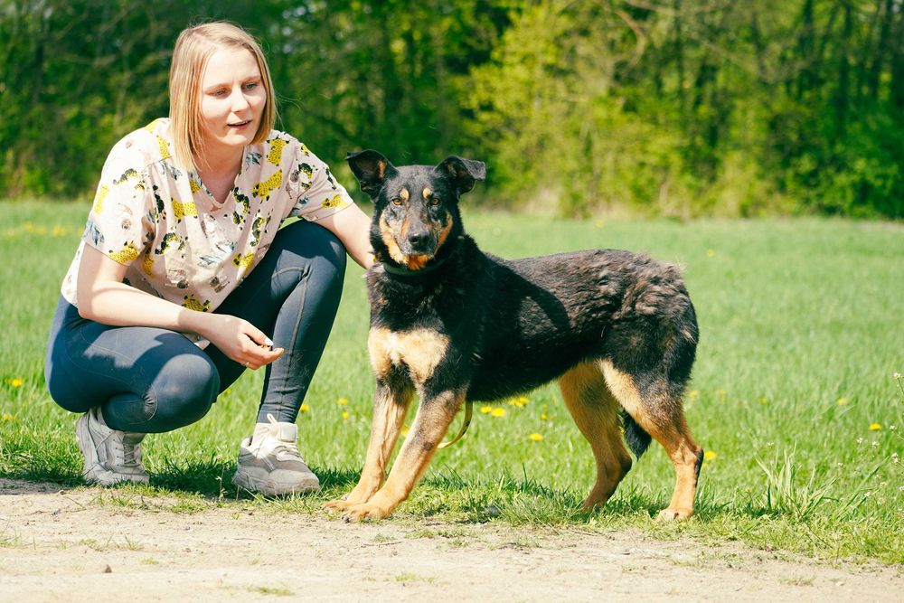 Dili - śliczna suczka szuka domu