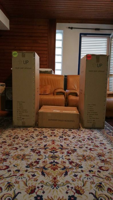 Anthony Gallo Acoustics: Colunas Ref. 3.5  e Amplificador Reference SA