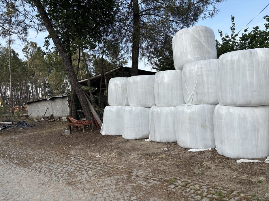 Rolos de feno cilagem