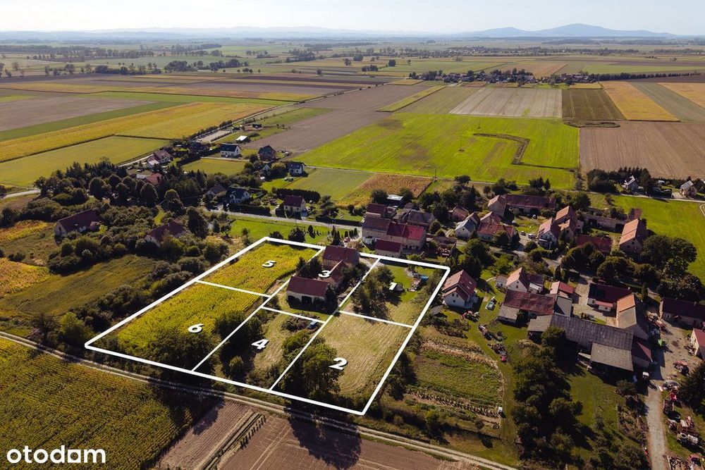 Dom Z Potencjałem I 259 M² Zabudowań Gospodarczych
