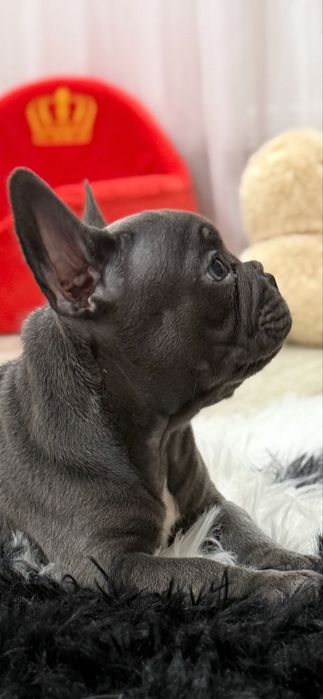 Мальчишка в голубом окрасе