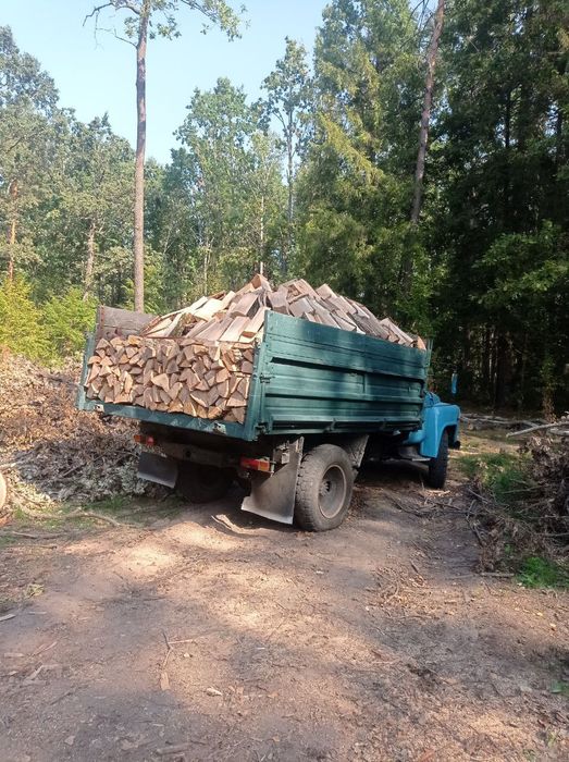 Продам дрова твердих порід, Житомир