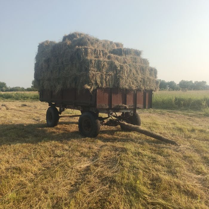 продам цьогорічне лугове сіно