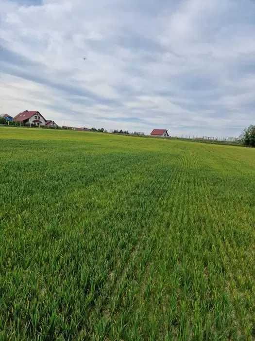 Sprzedam działkę budowlaną 900m2 Święte Środa Śląska