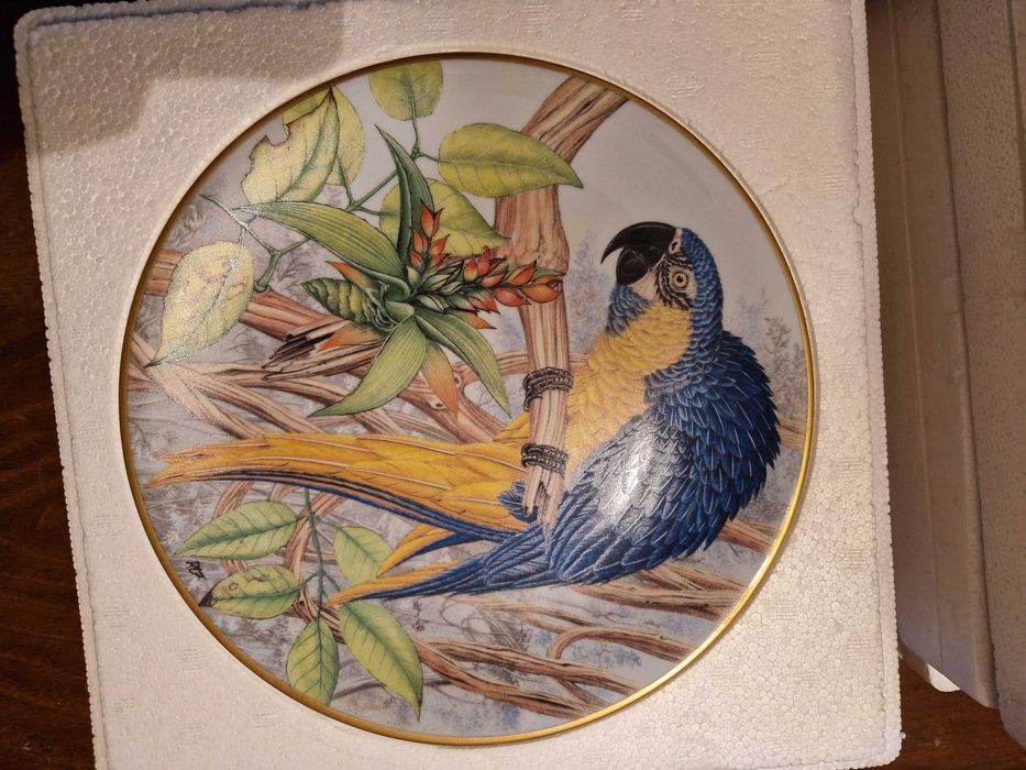 8 pratos Edição Limitada, Joias Vivas da Floresta Tropical.