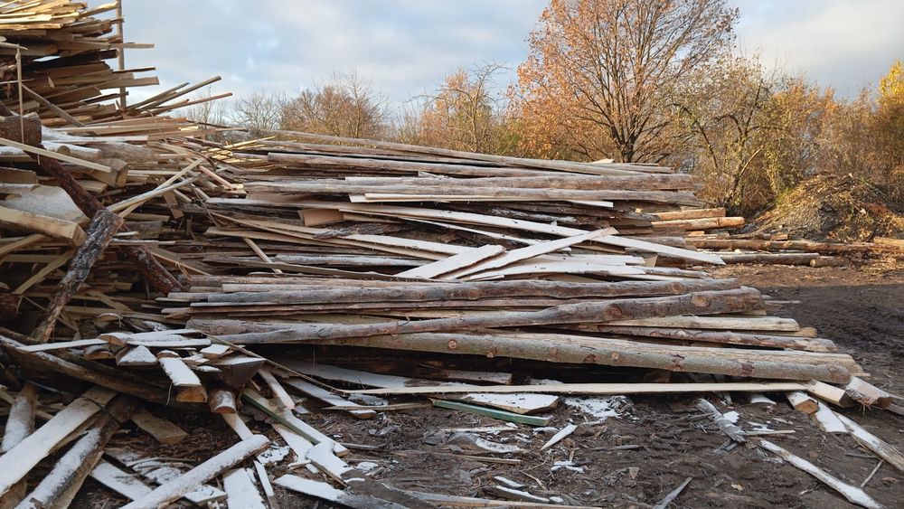 Zrzyny świerkowe, brzozowe