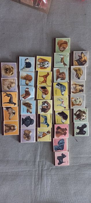 Coleçao carteiras fosforos - raças de cães