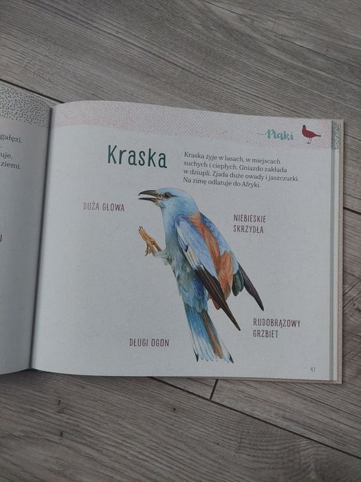 Elementarz naszej przyrody Zwierzęta