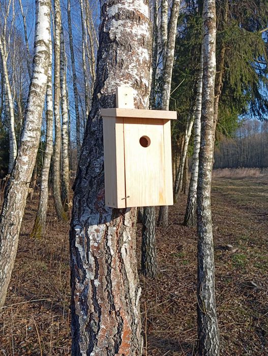 Budka lęgowa typ A. Budki lęgowe