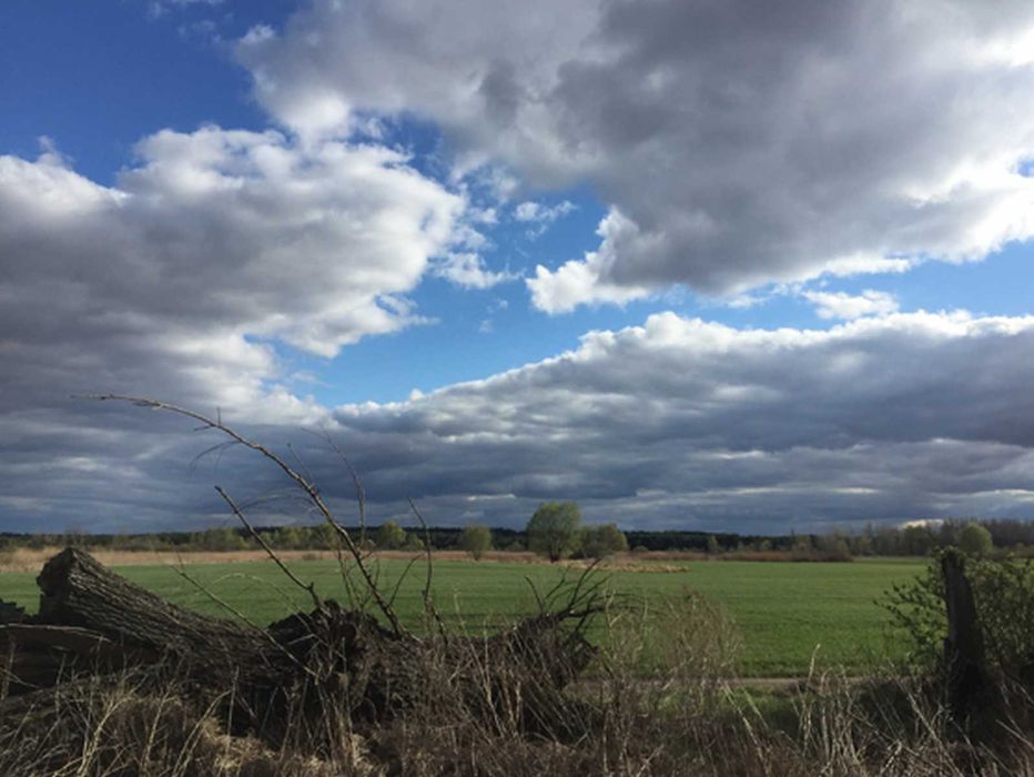 Продається півострів 1.5 га під бази ,готелі,яхтклуби,вихід на Дніпро