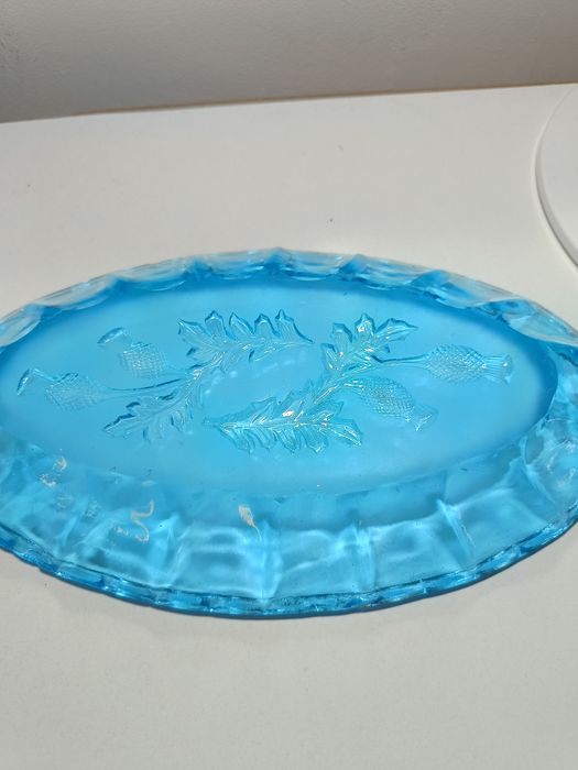 Śledziówka osty niebieska