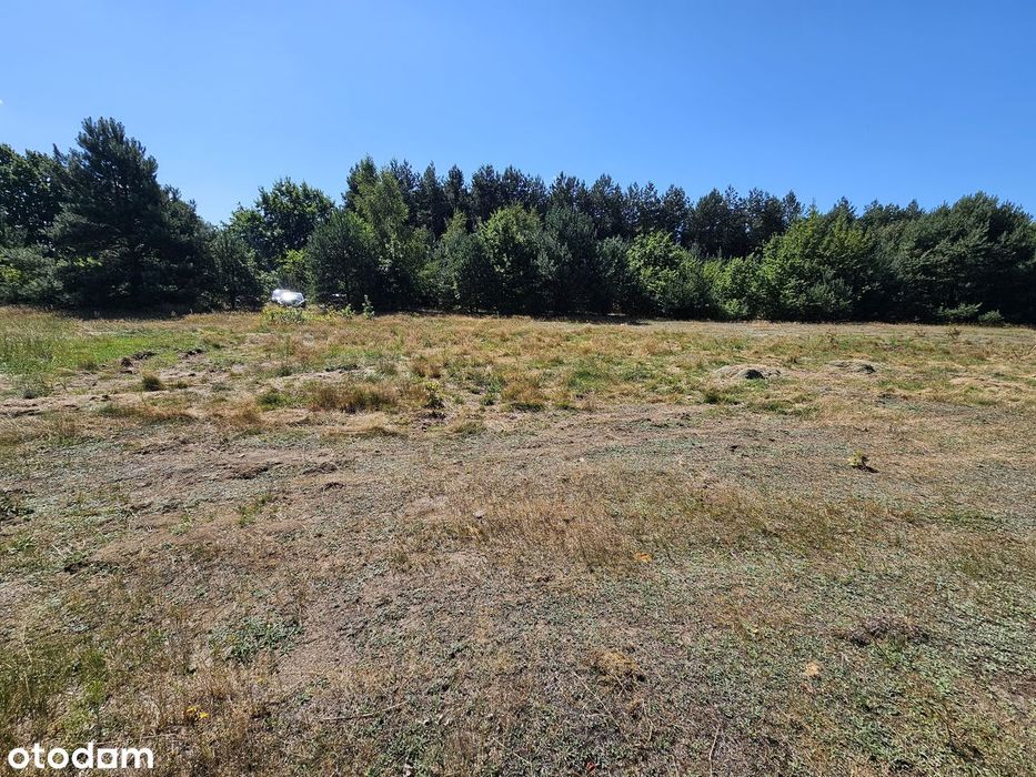 Działka budowlana 3003 m² – Brogi, gm. Dobroń