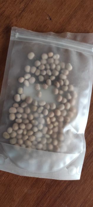 Насіння екзотичні