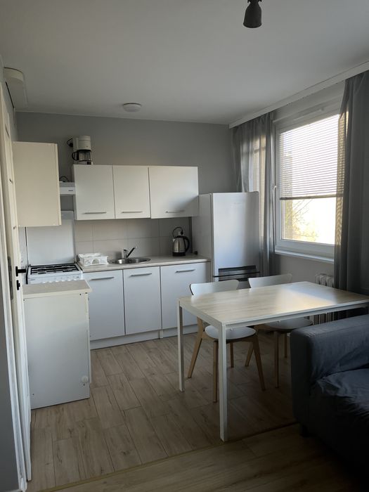 Kawalerka do wynajecia