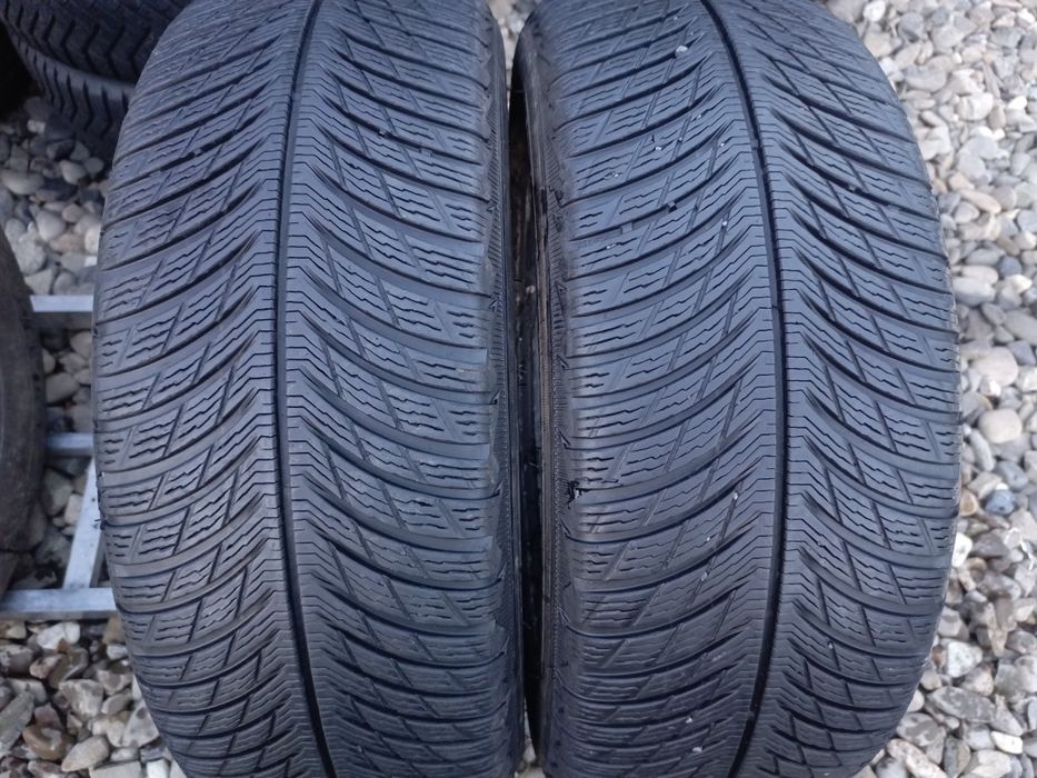 205.55.17 Michelin Pilot Alpin 2 шт