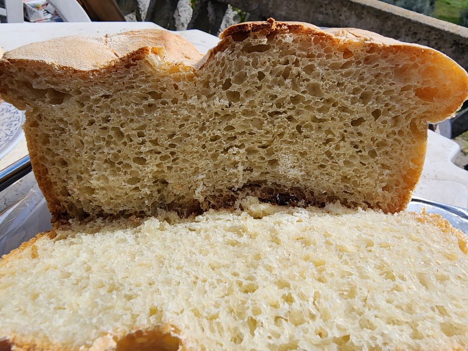 Pão faraónico egípcio natural e delicioso