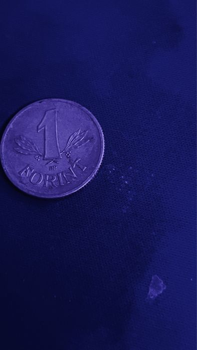 Stara moneta wegerska