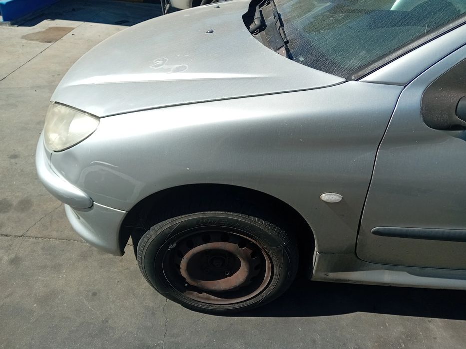 Guarda-lamas esquerdo PEUGEOT 206 (2A/C)