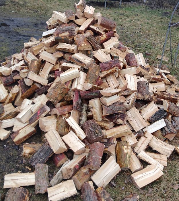 Drewno sosnowe, sosna opał pocięte,  połupane, brzoza