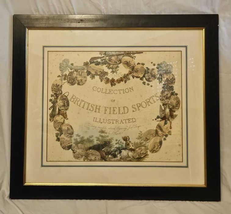 Quadro "British Field Sports"